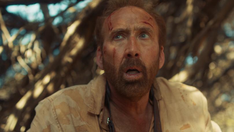 Nicolas Cage in The Surfer.