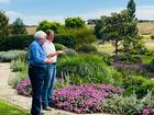 Graham Ross with landscape designer Sam Crawford. 
