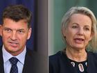 Angus Taylor and Sussan Ley have been crunching the numbers to contest the Liberal leadership.
