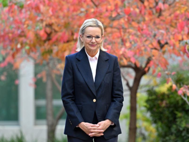 Opposition Leader Sussan Ley says she is "positive about what lies ahead".