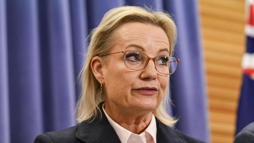 Ms Ley is the first moderate to lead the Liberals since the Malcolm Turnbull experiment ended in tears in 2018.