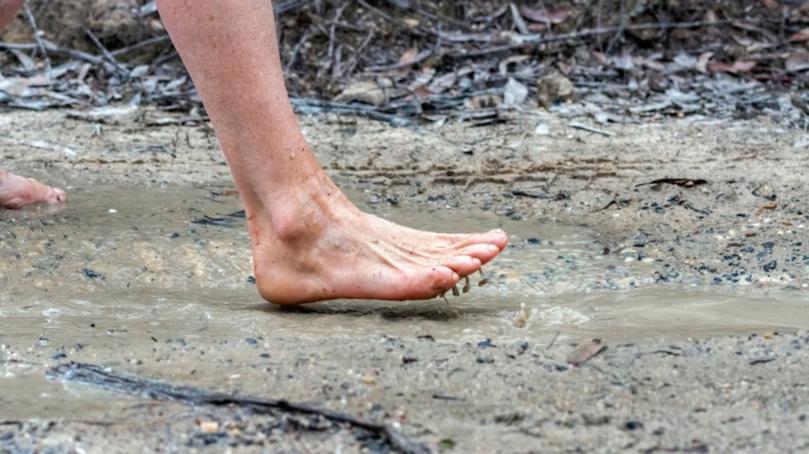 Public health experts have warned people to avoid direct contact with potentially contaminated soil and floodwaters.