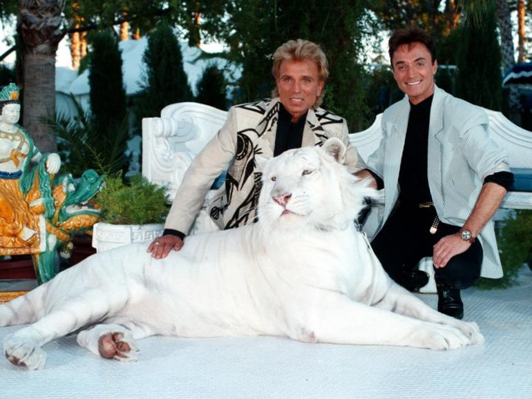 The Siegfried and Roy story is about to be dramatised with Jude Law and Andrew Garfield.