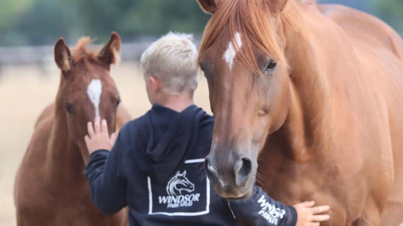 Windsor Park Stud’s managing director Rodney Schick lost his 10-year-old son, Jimmy, in a devastating accident.