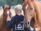 Windsor Park Stud’s managing director Rodney Schick lost his 10-year-old son, Jimmy, in a devastating accident.