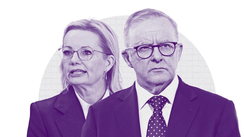 MARK RILEY: The better approach for Sussan Ley would be to out-Albanese the Prime Minister — to adopt his more constructive, consensus-style approach and weaponise it against him.