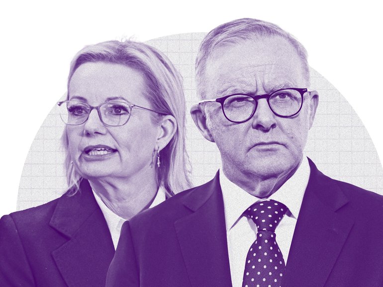 MARK RILEY: The better approach for Sussan Ley would be to out-Albanese the Prime Minister — to adopt his more constructive, consensus-style approach and weaponise it against him.