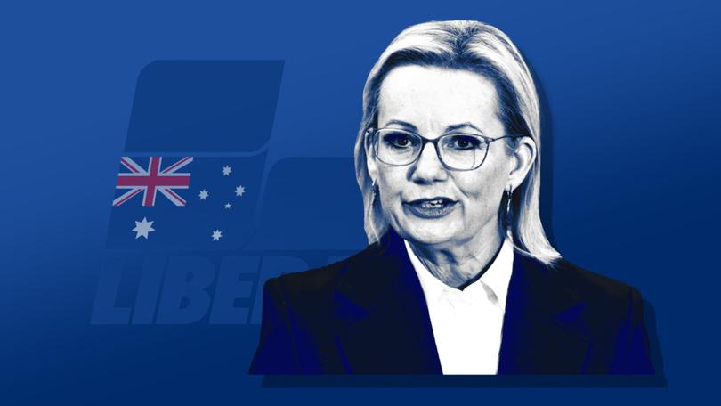 BEN HARVEY: Sussan Ley’s past career as a muster pilot should serve her well in her new job herding obstinate Coalition MPs.