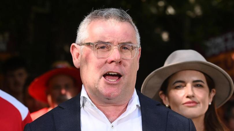 Murray Watt has vowed to make a decision on the extension of the mammoth North West Shelf project within a fortnight.