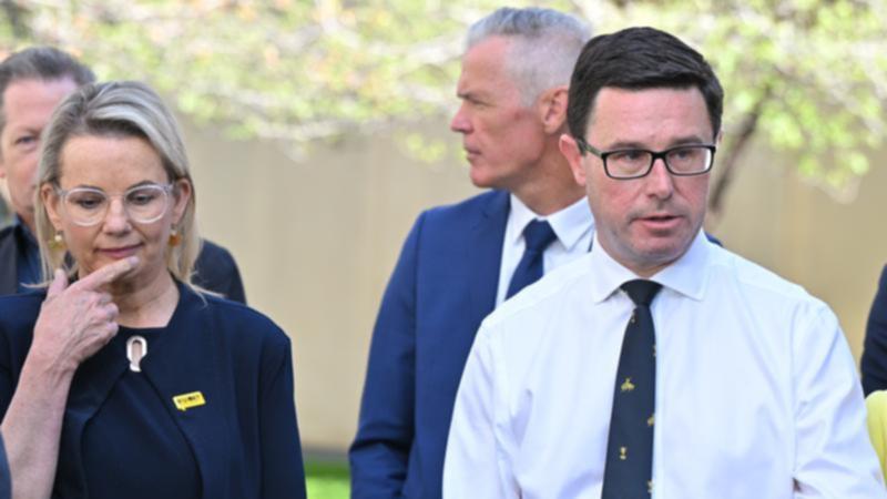 Sussan Ley and David Littleproud continue to hammer out a coalition power-sharing agreement. (Mick Tsikas/AAP PHOTOS)