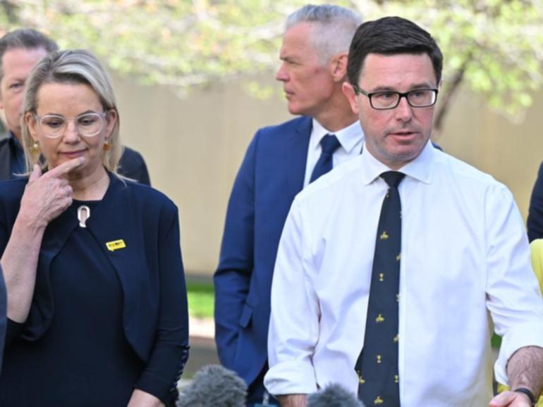 Sussan Ley and David Littleproud continue to hammer out a coalition power-sharing agreement. (Mick Tsikas/AAP PHOTOS)