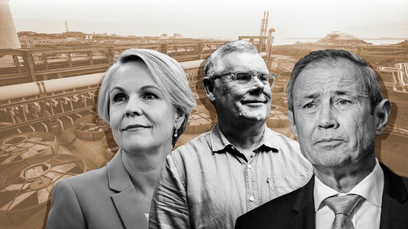 Murray Watt has vowed to make a call on the contentious North West Shelf project by the end of the the month ahead of a trip to Perth tonight to meet key parties.