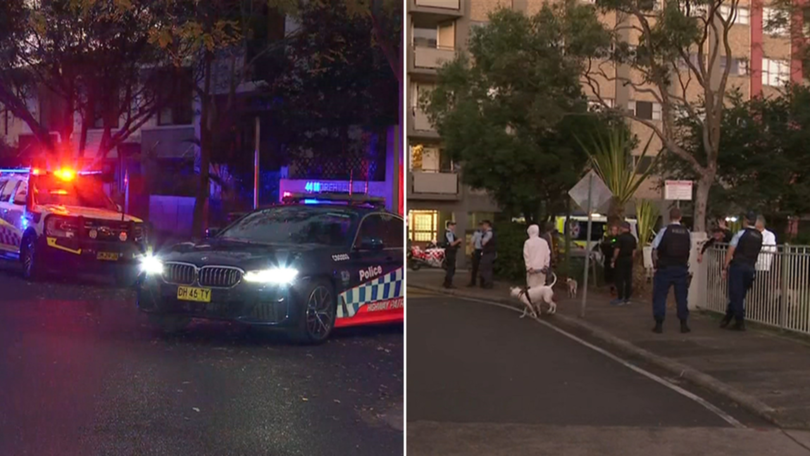A woman has died following an alleged domestic-violence related assault at the weekend.