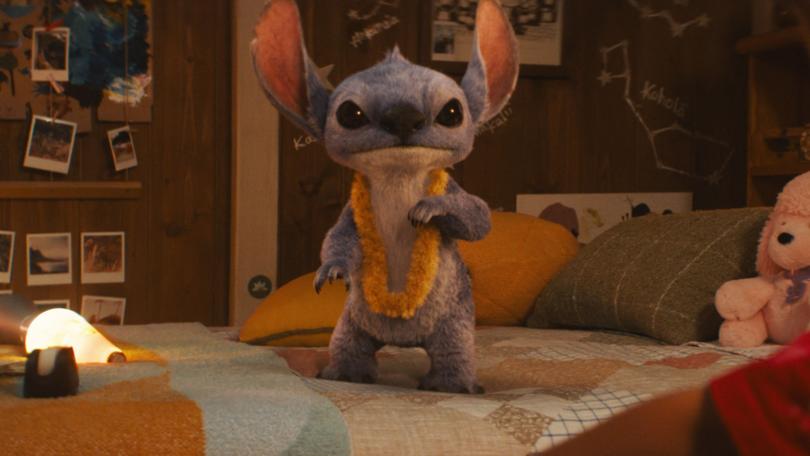 Lilo & Stitch is in cinemas on May 22.