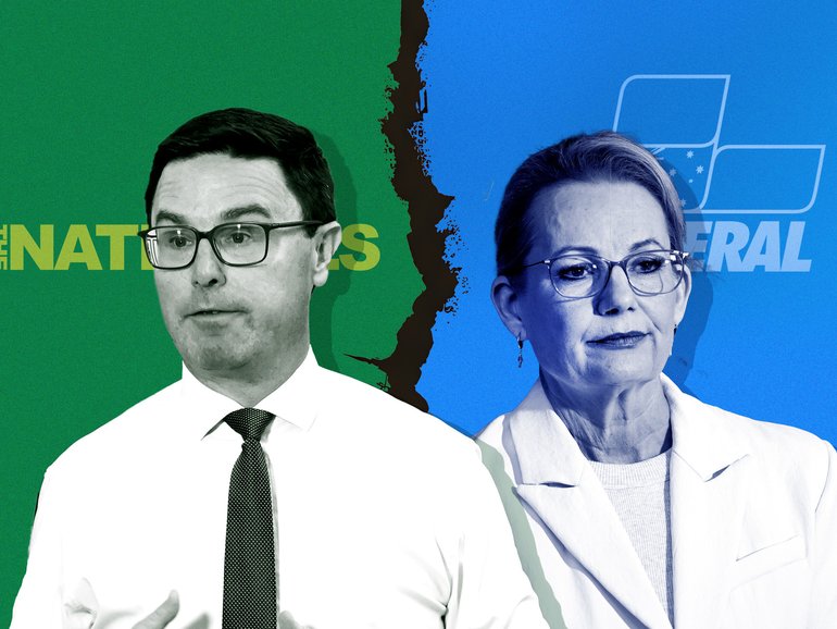 Nationals leader David Littleproud and Liberals counterpart Sussan Ley.