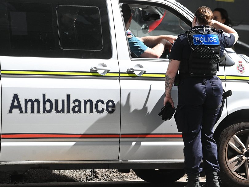 Emergency services were called to a property in Dysart following a toddler being attacked by a dog.