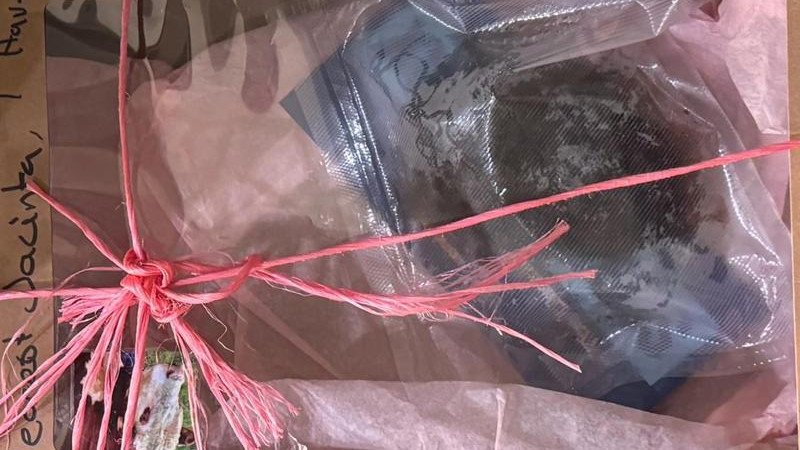 A vacuum-sealed cow dung package, wrapped in pink twine, was left at Premier Jacinta Allan's office.