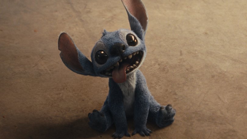 Lilo & Stitch is in cinemas on May 22.
