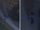 A body has been found in a reserve in Melbourne.