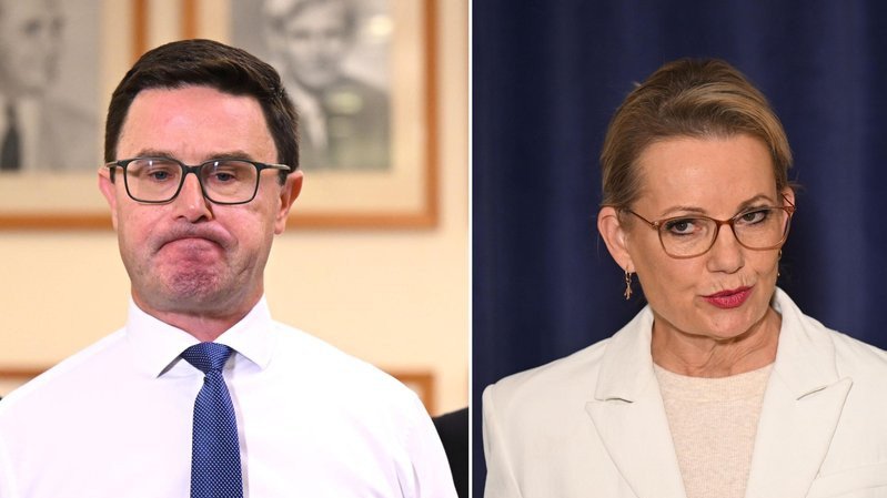 David Littleproud and Sussan Ley have re-entered negotiations in a bid to mend the coalition. (Lukas Coch/AAP PHOTOS)