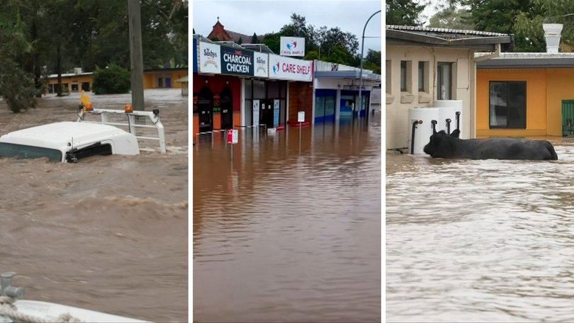 More than 524mm of rain has fallen in Taree, leaving homes, cars, stock and businesses under water.