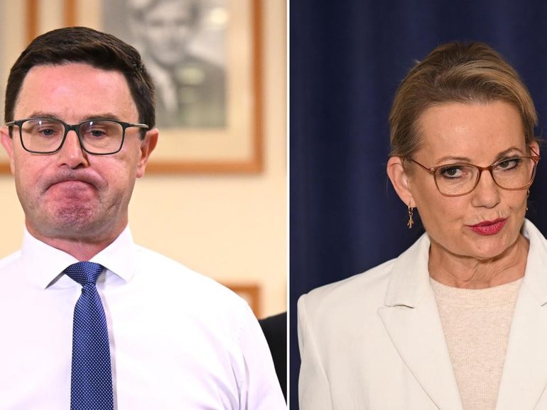 David Littleproud and Sussan Ley will need to work together to form a shadow cabinet. (Lukas Coch/AAP PHOTOS)