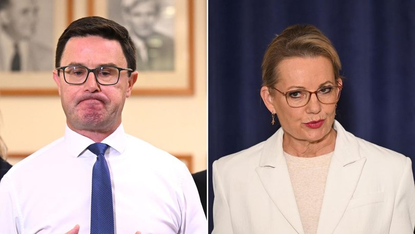 David Littleproud and Sussan Ley appear headed for an agreement on a political reunion. (Lukas Coch/AAP PHOTOS)