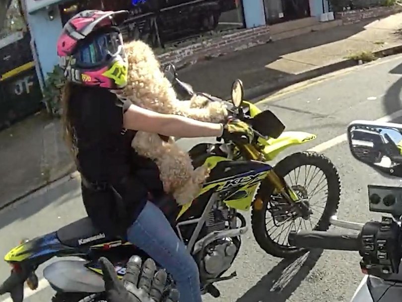 A 35-year-old woman was pulled over by police in Queensland.
