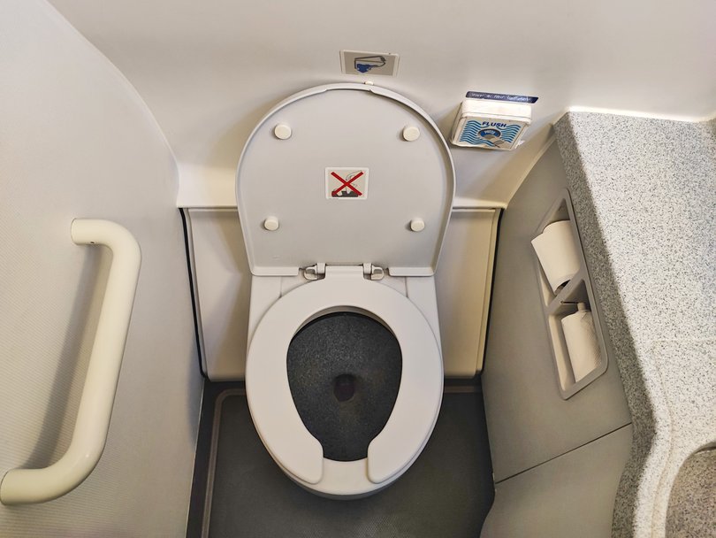 Plane toilets are soaked in urine.