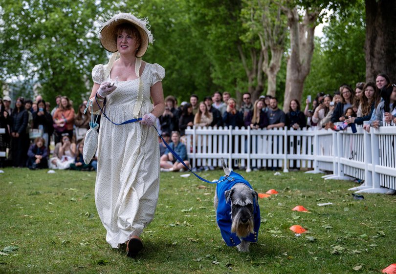 A schnauzer called Mr Darby takes part in the Best Bridgerton Lookalike competition at the annual Greenwich Dog Show held at the Old Royal Naval College in London.