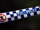 At least seven bullets were fired in a "targeted and directed attack" in Sydney's west on Sunday. 
