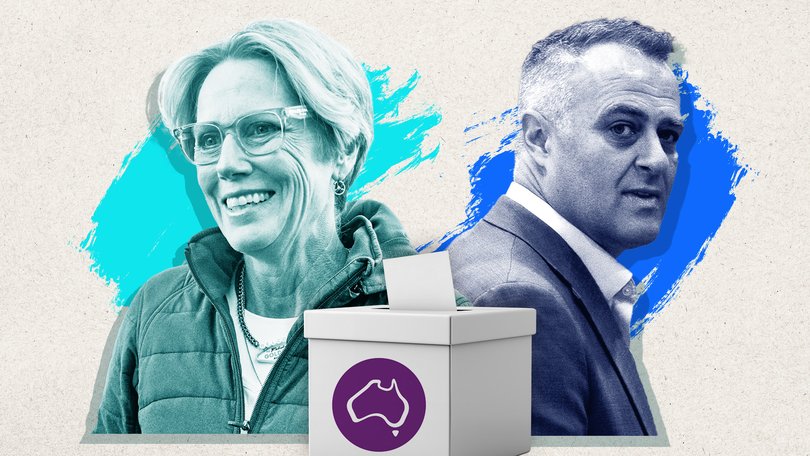  A partial recount will begin for the Melbourne seat of Goldstein, after former Liberal MP Tim Wilson was declared the winner over Zoe Daniel by 260 votes.