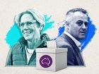  A partial recount will begin for the Melbourne seat of Goldstein, after former Liberal MP Tim Wilson was declared the winner over Zoe Daniel by 260 votes.