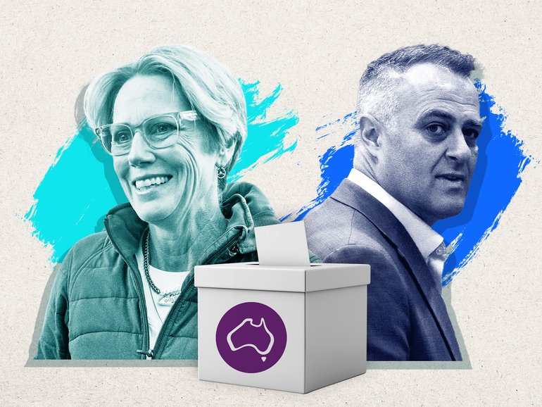  A partial recount will begin for the Melbourne seat of Goldstein, after former Liberal MP Tim Wilson was declared the winner over Zoe Daniel by 260 votes.