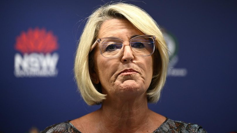 NSW Police and Counter-Terrorism Minister Yasmin Catley' has announced a new anti violence taskforce.