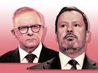 Ed Husic and Anthony Albanese. 