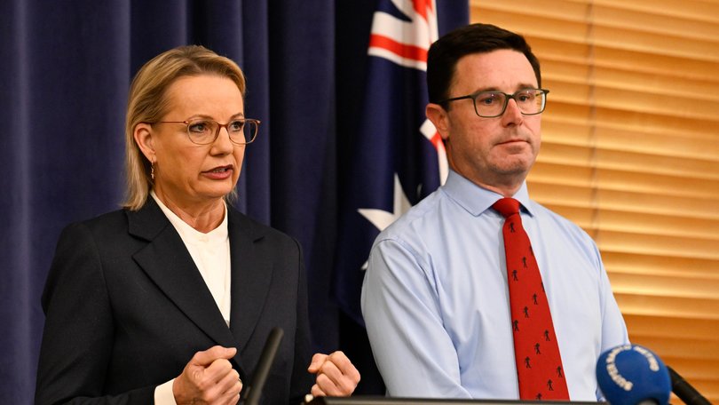 Opposition Leader Sussan Ley and National Party leader David Littleproud reveal the new shadow ministry at Parliament House.
