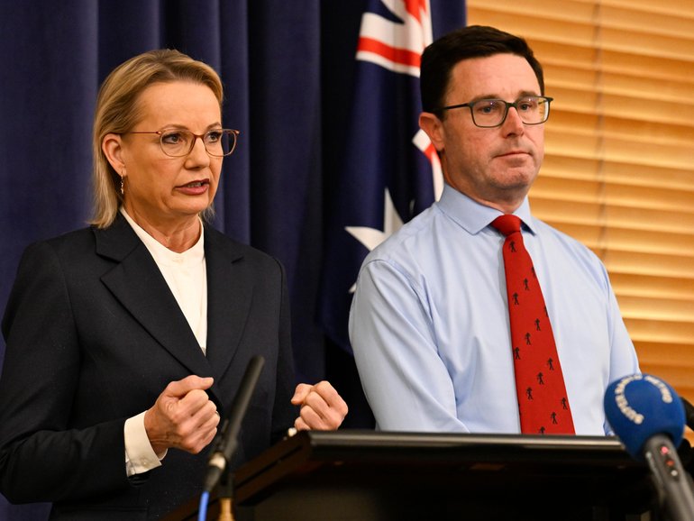  Opposition Leader Sussan Ley and National Party leader David Littleproud reveal the new shadow ministry at Parliament House.