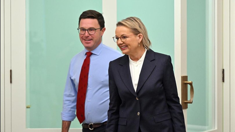 Sussan Ley and David Littleproud were all smiles as they unveiled their joint shadow cabinet. (Mick Tsikas/AAP PHOTOS)