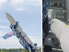 A cockatoo has copped the blame for a failed rocket launch.