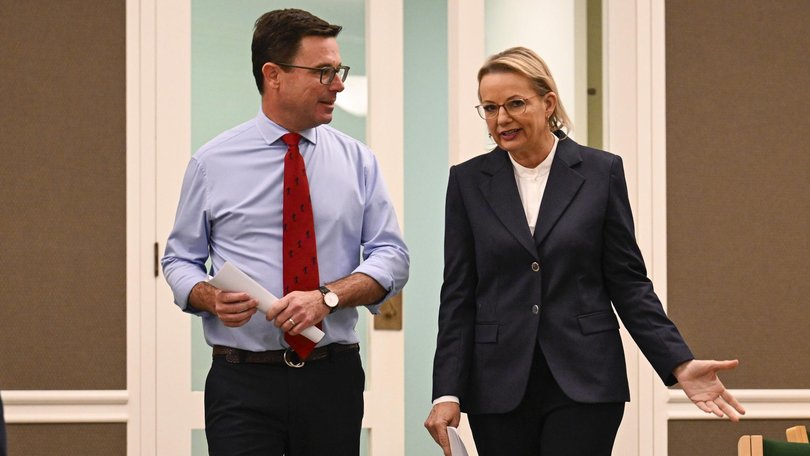 Sussan Ley and David Littleproud addressed media for the first time after the Coalition announced they would reunify following a brief split.