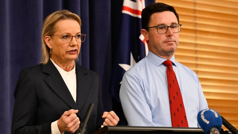 Opposition Leader Sussan Ley and National Party leader David Littleproud reveal the new shadow ministry at Parliament House.