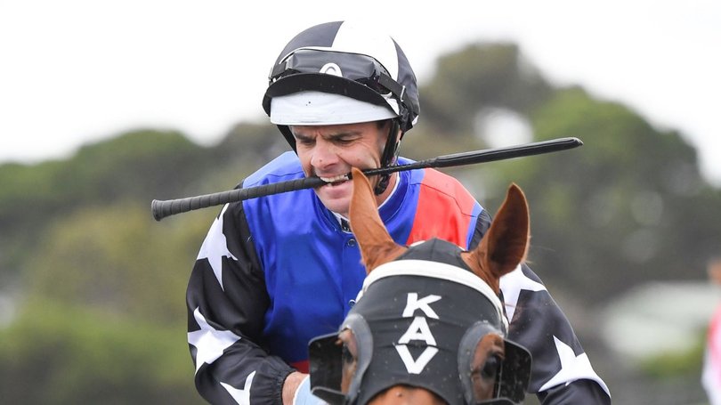 Noel Callow is in concussion protocols after a fight with rival jockey Kyle Wilson-Taylor.