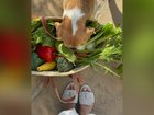 Meghan Markles most recent instagram post has royal fans questioning if her 'garden haul' was from her garden or the store.