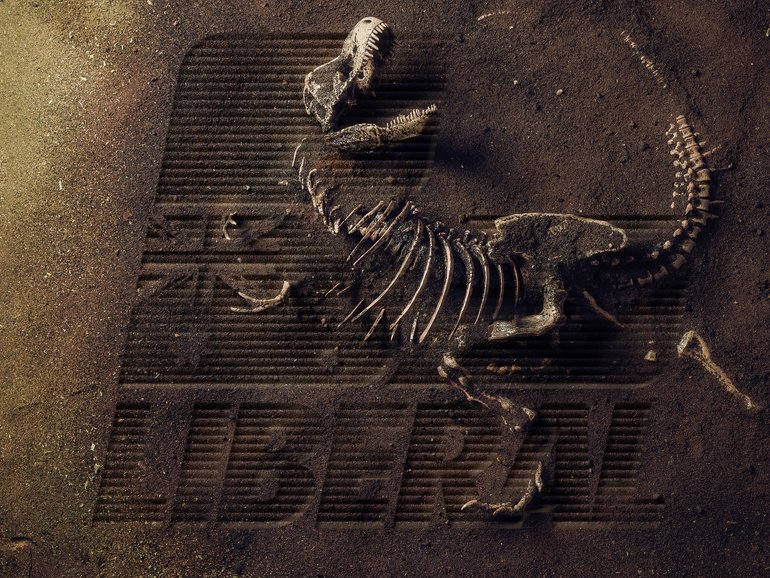 Extinct liberal party logo.
