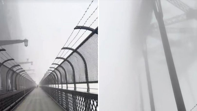 A dense blanket of fog has brought Sydney’s ferry network to a standstill and caused delays at the airport and on major roads, with commuters urged to seek alternative travel.