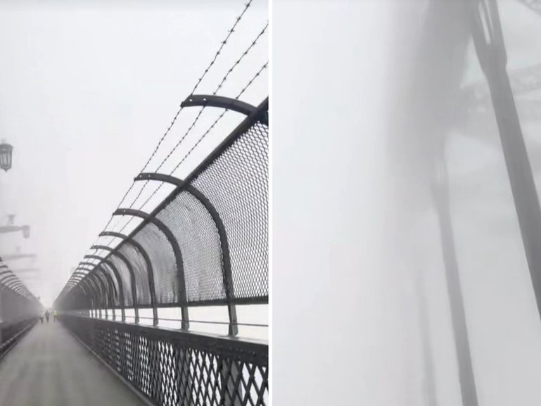 A dense blanket of fog has brought Sydney’s ferry network to a standstill and caused delays at the airport and on major roads, with commuters urged to seek alternative travel.