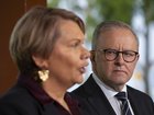 Prime Minister Anthony Albanese with ex Greens senator Dorinda Cox, in Kings Park, Perth.