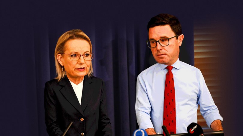 ANDREW CARSWELL: Net zero is heading towards disaster. But the Coalition is in no position to prosecute a retreat from a 2050 target. Pictured: Sussan Ley, David Littleproud.