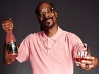 Treasury Wine Estates is behind the Snoop Dogg-backed 19 Crimes.